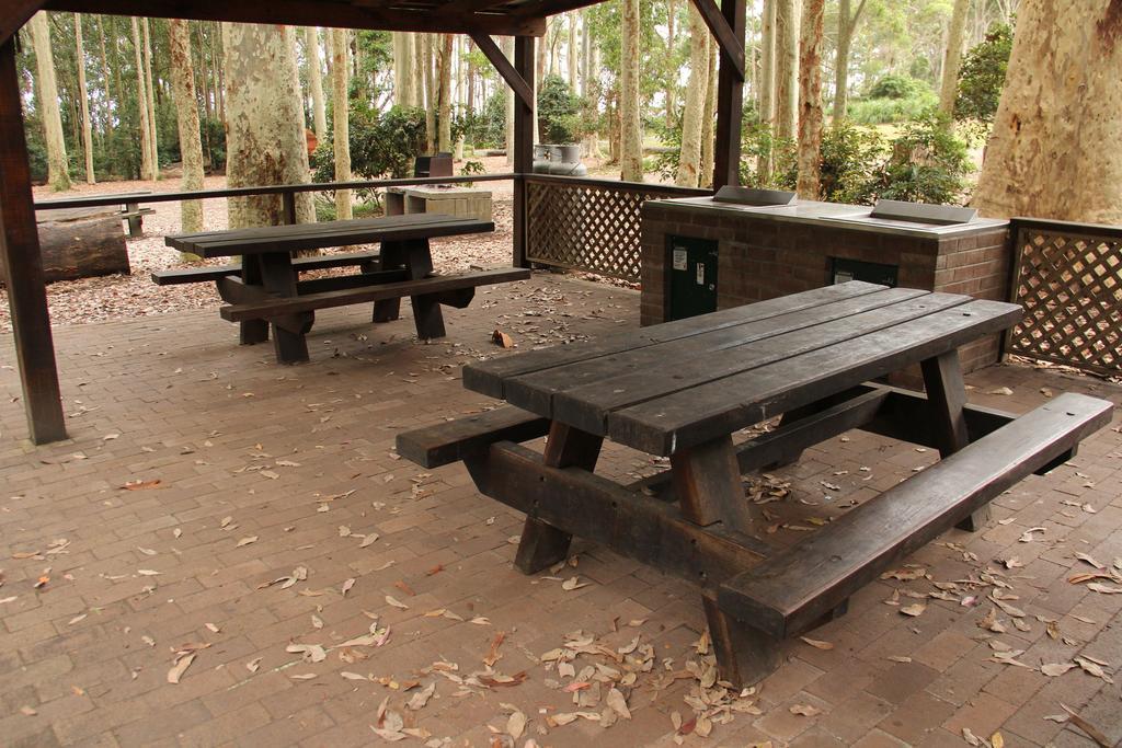 Depot Beach Cabins Villa Durras ภายนอก รูปภาพ