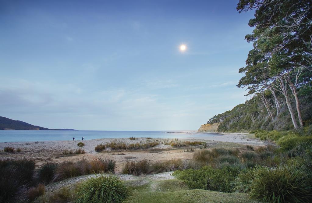 Depot Beach Cabins Villa Durras ภายนอก รูปภาพ